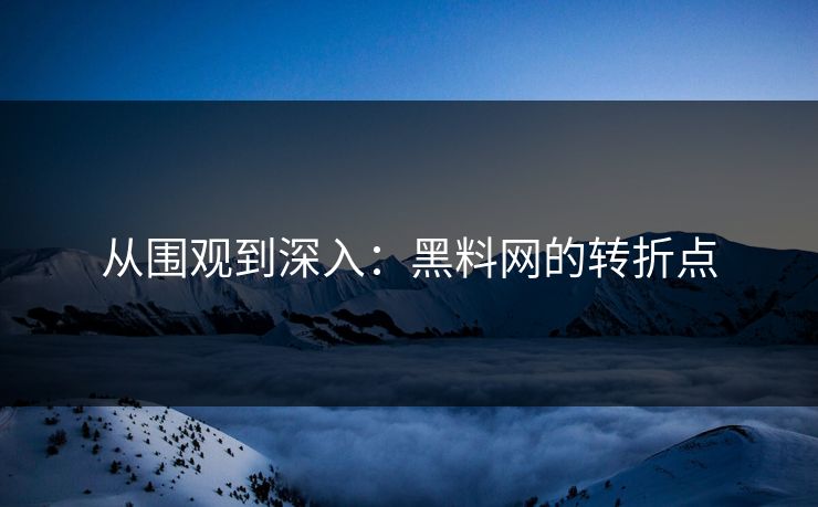 从围观到深入：黑料网的转折点