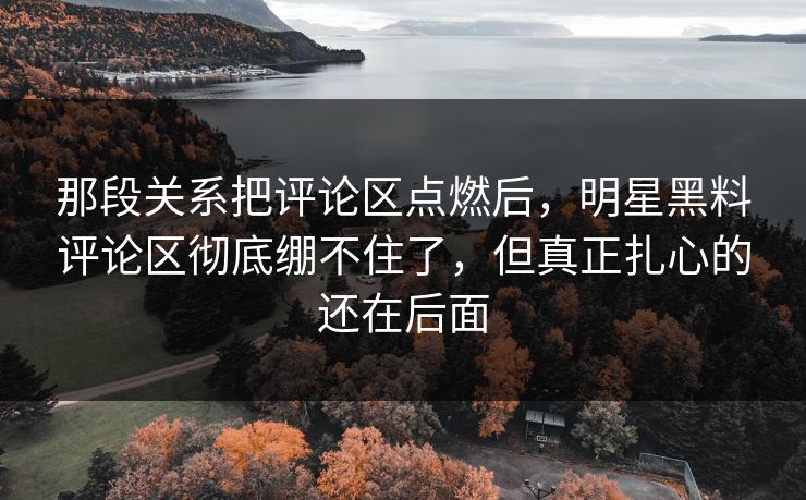 那段关系把评论区点燃后，明星黑料评论区彻底绷不住了，但真正扎心的还在后面