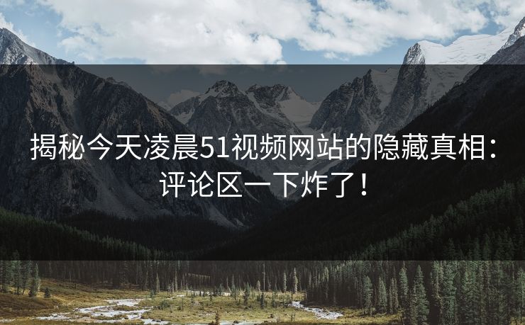 揭秘今天凌晨51视频网站的隐藏真相：评论区一下炸了！