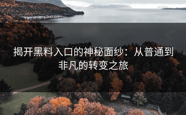 揭开黑料入口的神秘面纱：从普通到非凡的转变之旅